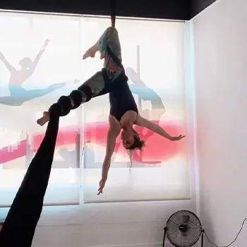 Synthia
