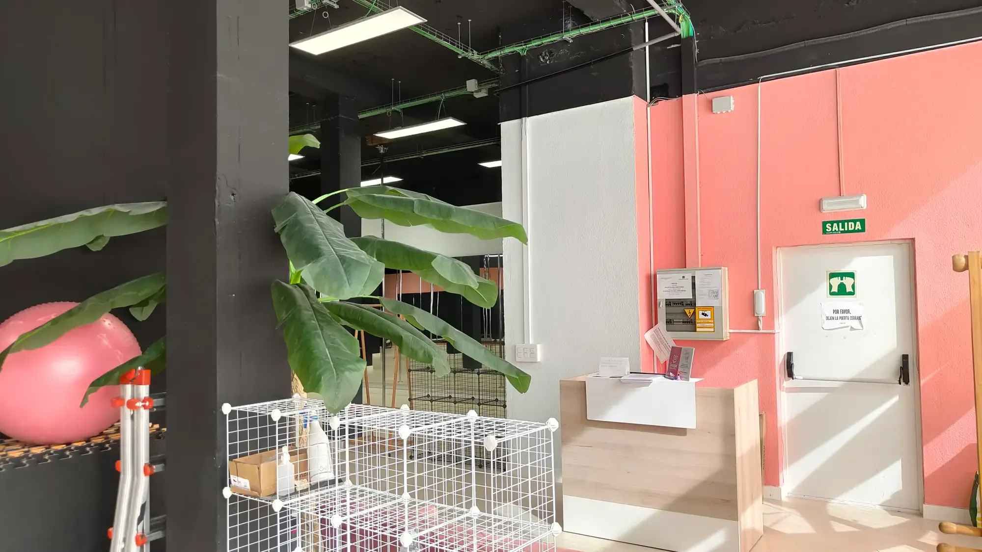 Reception at the Legazpi studio